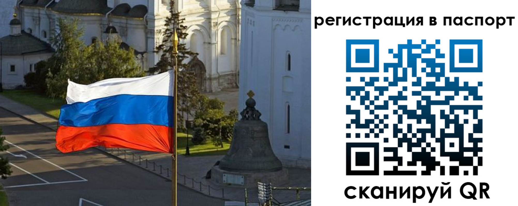 где прописаться в Щиграх